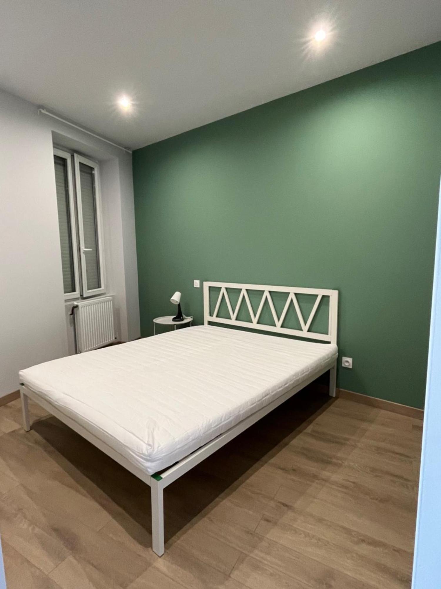 Immeuble La Doa Proche Chu Apartment Saint-Priest-en-Jarez Luaran gambar
